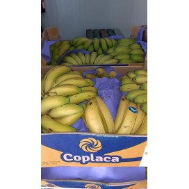 banana canarias (caixas 17/18 kg) 