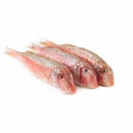 Red Fish 200/300G Cong. Cx +/- 6Kg