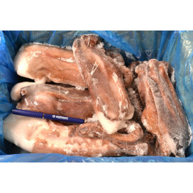 Pota Tentáculos 2/3 (AV 10 Kg)-Gesfrescos