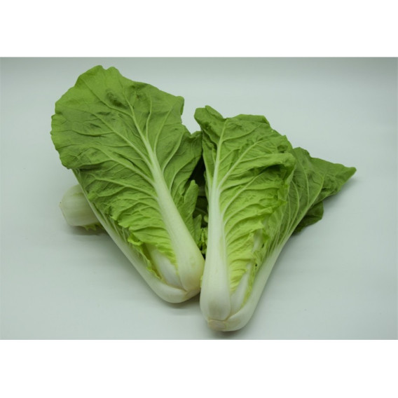 COL MINI  黃葉白菜 cx 2 kg