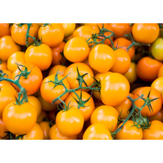 Tomate Cherry Amarelo