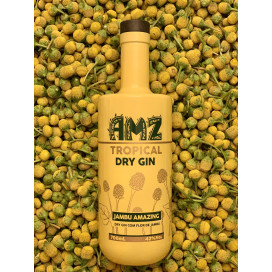 Dry Gin Amz Tropical Jambu 6 x 700ml  42%