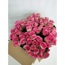 Rosas Rosa Cx.80 Flores