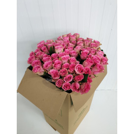 Rosas Rosa Cx.80 Flores