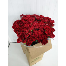Cravos Vermelhos Cx.200 Flores