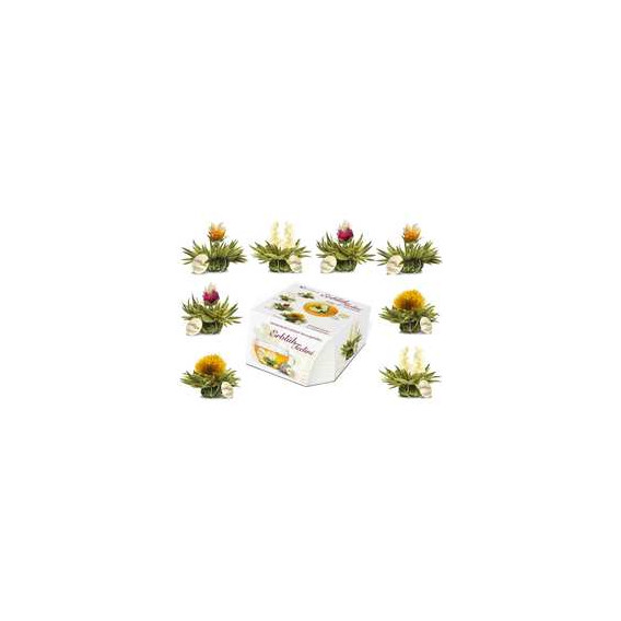 Caixa de 8 flores de chá branco "Abloom Tealini" 