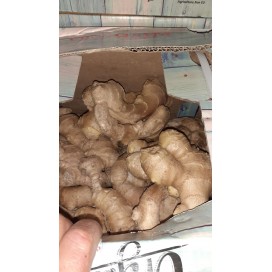 Gengibre biologico 5kg