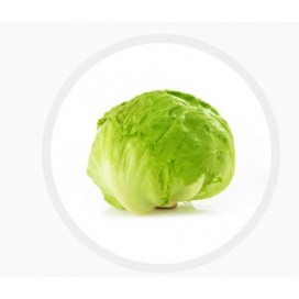Alface Iceberg (Kg) 