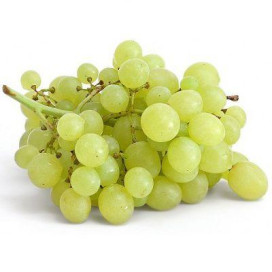 Uva Moscatel