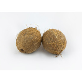 Coco Seco