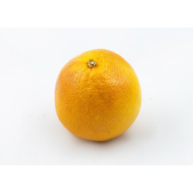 Laranja de Sumo cal 6/7