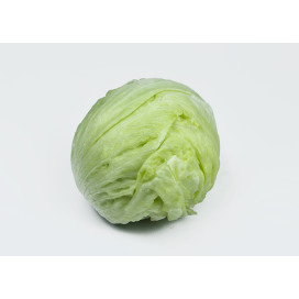 Alface Iceberg