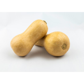 Abóbora Butternut