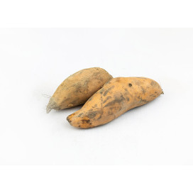 Batata Doce Laranja