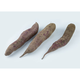 Batata Doce Roxa
