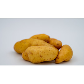 Batata Ratte
