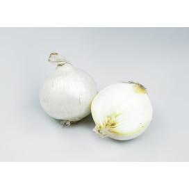 Cebola Branca Pérola