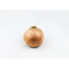 Cebola Grossa