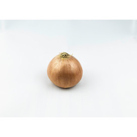 Cebola Média