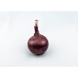 Cebola Roxa