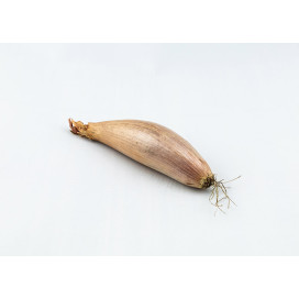 Chalota Banana
