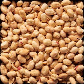 Amendoim Torrado 200gr