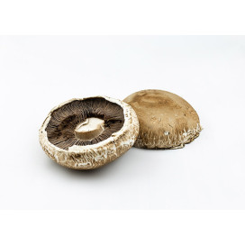 Cogumelo Portobello