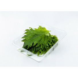 Folha de Shiso 10g