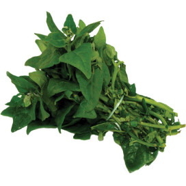 Espinafre