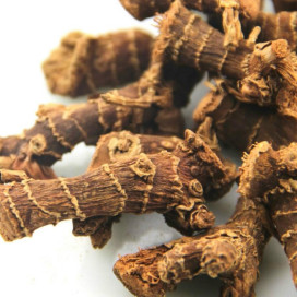 Galanga