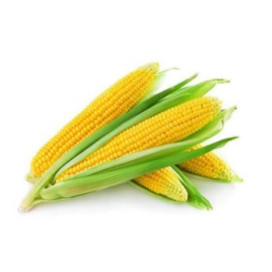 Maçaroca de Milho Cozida 400gr