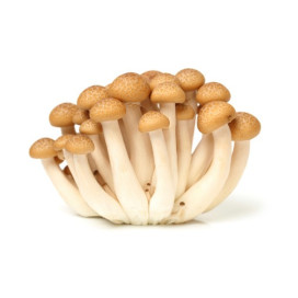 Cogumelo Shimeji 150g