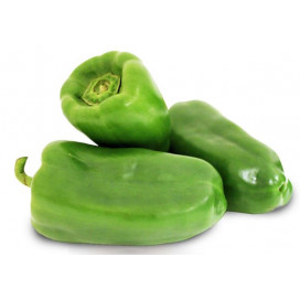 Pimento Verde Kg 