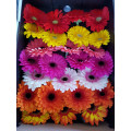 Gerbera Mix Cor Cx.50 Flores