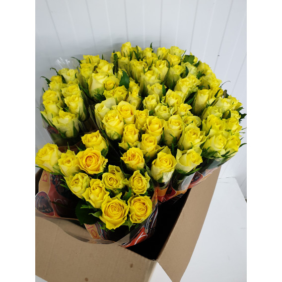 Rosas Amarelas Cx.80 Flores