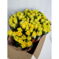 Rosas Amarelas Cx.80 Flores