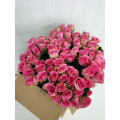 Rosas Rosa Cx.80 Flores