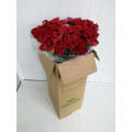 Cravos Vermelhos Cx.200 Flores