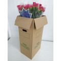 Cravos Rosa Cx.200 Flores