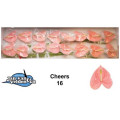 Anturio Rosa Cx.12 Flores