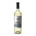 Encosta do Sobral Sauvignon Blanc,Vinho Regional Tejo, Branco 2019  CX