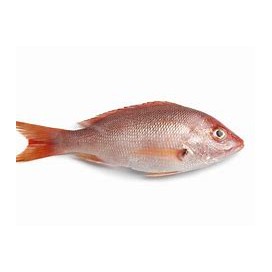 Red Fish 300/500G Cx +/- 6 Kg Cong.