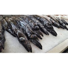 Peixe Esp Preto S/C Troncos Cx 6Kg Eur