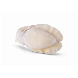 Choco Limpo 0.25-1Kg Congelado