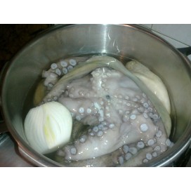 Polvo +2 Kg Marrocos Cong.