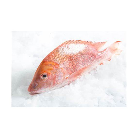 Red Fish 200/300G Cx 3Kg Cong. Eurochefe