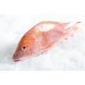 Red Fish 200/300G Cx 3Kg Cong. Eurochefe