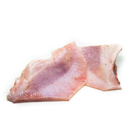 Asa de arraia fresca da Galiza Kg