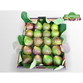 FIGO CALIBRE GRANDE CX 3KG