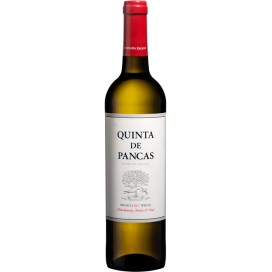 Vinho Branco  PANCAS QTA BR 75CL LISBOA Caixa de 6 un.